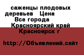 саженцы плодовых деревьев › Цена ­ 6 080 - Все города  »    . Красноярский край,Красноярск г.